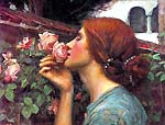 [El alma de la rosa o mi dulce rosa de John William Waterhouse]